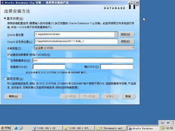oracle 11g windows简体中文版安装指南