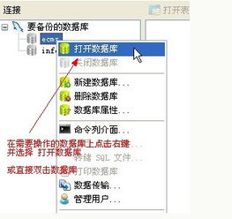 高效数据库管理 Navicat工具全解析